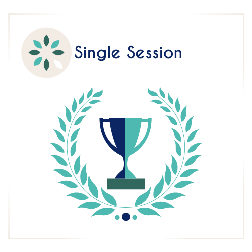 Single Coaching Session